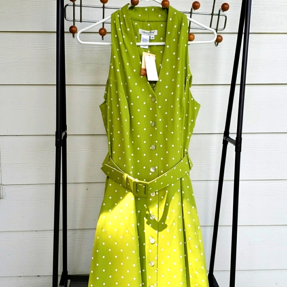 BNWT COLDWATER CREEK Zesty Green Polka Dot Button Front Belted Fit & Flare (10) - Picture 2 of 11